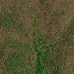 Satellite imagery of Wolf Ridge, US