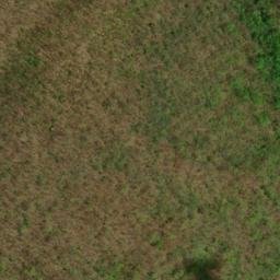 Satellite imagery of Wolf Ridge, US