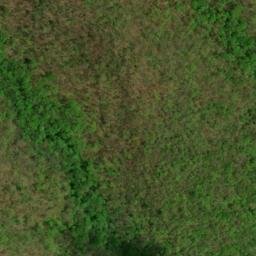 Satellite imagery of Wolf Ridge, US