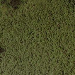 Satellite imagery of Bald Ridge, US