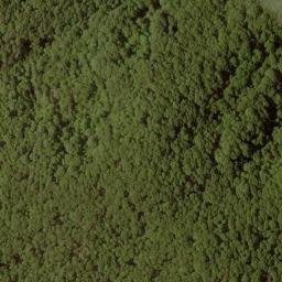 Satellite imagery of Bald Ridge, US
