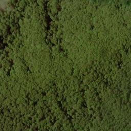Satellite imagery of Bald Ridge, US