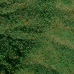 Satellite imagery of Bumgardner Ridge, US