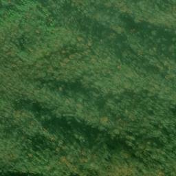Satellite imagery of Bumgardner Ridge, US