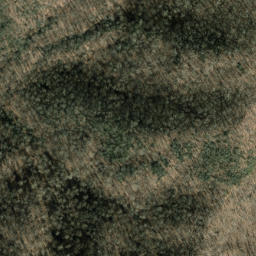 Satellite imagery of Jenkins Ridge, US