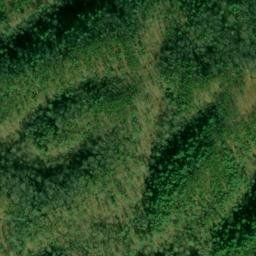 Satellite imagery of Citico Mountain, US
