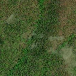 Satellite imagery of Wolf Ridge, US
