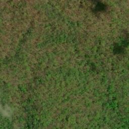 Satellite imagery of Wolf Ridge, US