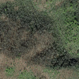 Satellite imagery of Big Fork Ridge, US