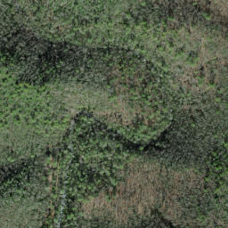 Satellite imagery of Big Fork Ridge, US