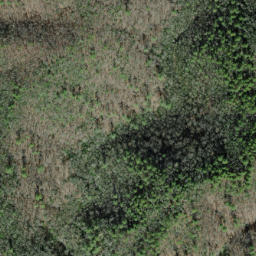 Satellite imagery of Big Fork Ridge, US