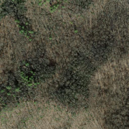 Satellite imagery of Snakeden Ridge, US