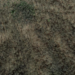 Satellite imagery of Snakeden Ridge, US