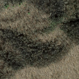 Satellite imagery of Horseshoe Ridge, US