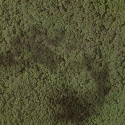 Satellite imagery of Bald Ridge, US
