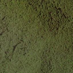 Satellite imagery of Bald Ridge, US
