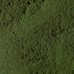 Satellite imagery of Bald Ridge, US