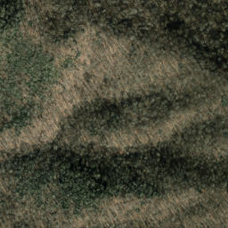 Satellite imagery of Jenkins Ridge, US