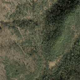 Satellite imagery of Jenkins Ridge, US