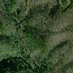 Satellite imagery of Boardtree Point, US