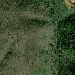 Satellite imagery of Boardtree Point, US