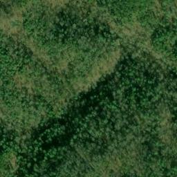 Satellite imagery of Citico Mountain, US
