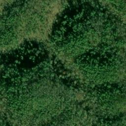 Satellite imagery of Citico Mountain, US