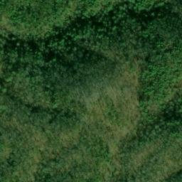 Satellite imagery of Citico Mountain, US