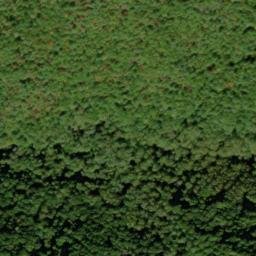 Satellite imagery of Dalton Ridge, US