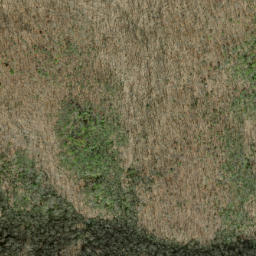 Satellite imagery of Dalton Ridge, US