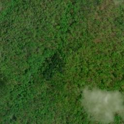 Satellite imagery of Wolf Ridge, US
