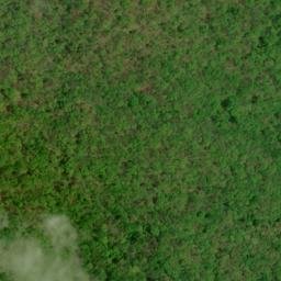 Satellite imagery of Wolf Ridge, US