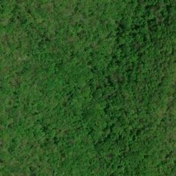 Satellite imagery of Wolf Ridge, US