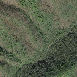 Satellite imagery of Big Fork Ridge, US