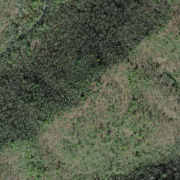Satellite imagery of Big Fork Ridge, US