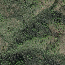 Satellite imagery of Big Fork Ridge, US