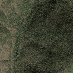 Satellite imagery of Jenkins Ridge, US