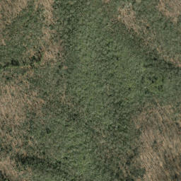 Satellite imagery of Lickstone Ridge, US