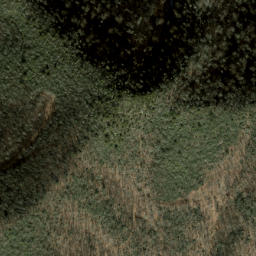 Satellite imagery of Eaglenest Ridge, US