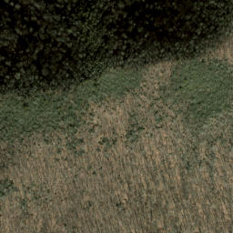 Satellite imagery of Eaglenest Ridge, US