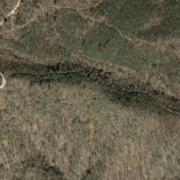 Satellite imagery of Dividing Ridge, US