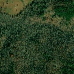 Satellite imagery of Ann Homer, US