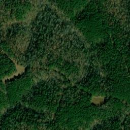 Satellite imagery of Ann Homer, US