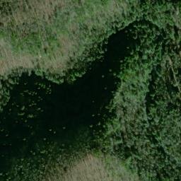 Satellite imagery of Boardtree Point, US
