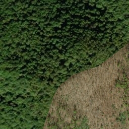 Satellite imagery of Dalton Ridge, US