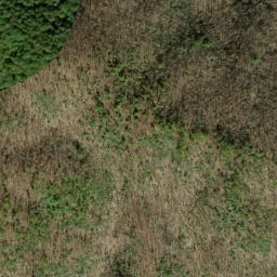 Satellite imagery of Dalton Ridge, US