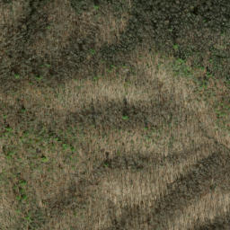 Satellite imagery of Dalton Ridge, US