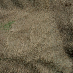 Satellite imagery of Red Ridge, US