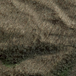 Satellite imagery of Red Ridge, US