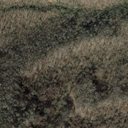 Satellite imagery of Snakeden Ridge, US